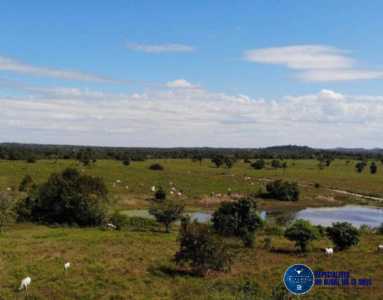 Imagem Fazenda à Venda, 456 m² em Zona Rural - Ananás Imagem Fazenda à Venda, 456 m² em Zona Rural - Ananás
