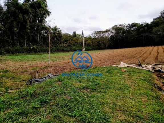 Imagem Imóvel com 3 Quartos à Venda, 56.000 m² em Cocuera - Mogi Das Cruzes Imagem Imóvel com 3 Quartos à Venda, 56.000 m² em Cocuera - Mogi Das Cruzes