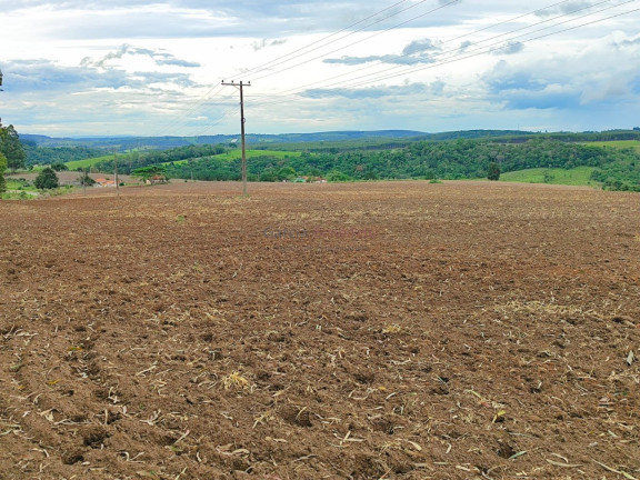 Imagem Imóvel com 6 Quartos à Venda, 847.000 m² em Centro - Itapetininga Imagem Imóvel com 6 Quartos à Venda, 847.000 m² em Centro - Itapetininga
