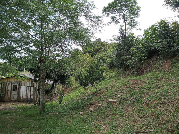 Imagem Casa à Venda, 36 m² em águas Claras - Viamão Imagem Casa à Venda, 36 m² em águas Claras - Viamão