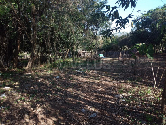 Imagem Terreno à Venda, 7.500 m² em Vila Piedade - Itapetininga Imagem Terreno à Venda, 7.500 m² em Vila Piedade - Itapetininga