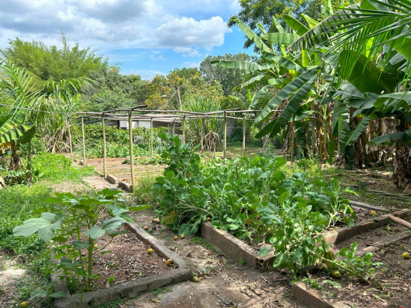 Imagem Chácara com 9 Quartos à Venda, 10.000 m² em Pingo D'água - Betim Imagem Chácara com 9 Quartos à Venda, 10.000 m² em Pingo D'água - Betim