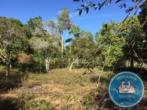 Terreno à Venda, 22.460 m² em Trancoso - Porto Seguro