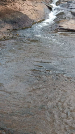 Imagem Fazenda à Venda, 18 m² em Zona Rural - Orizona
