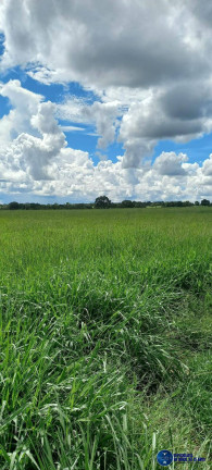 Imagem Fazenda à Venda, 75 m² em Zona Rural - Mozarlândia Imagem Fazenda à Venda, 75 m² em Zona Rural - Mozarlândia