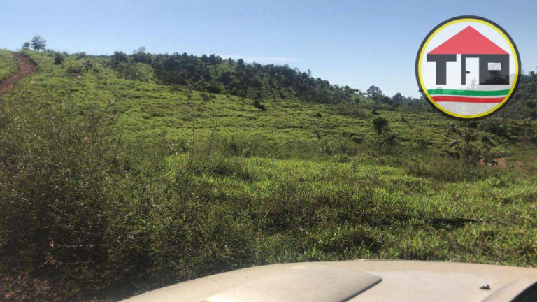 Imagem Fazenda à Venda, 8.131.200 m² em Logradouro Sem Nome, Novo Repartimento - Pa, 68473-000, Brasil -4.759492, -49.588326 - Novo Repartimento Imagem Fazenda à Venda, 8.131.200 m² em Logradouro Sem Nome, Novo Repartimento - Pa, 68473-000, Brasil -4.759492, -49.588326 - Novo Repartimento