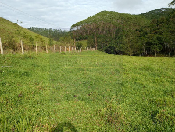 Imagem Chácara com 3 Quartos à Venda, 120 m² em Palmeiras - Natividade Da Serra Imagem Chácara com 3 Quartos à Venda, 120 m² em Palmeiras - Natividade Da Serra