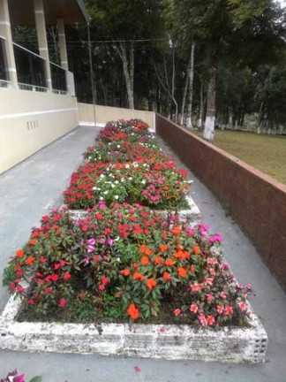 Imagem Imóvel com 3 Quartos à Venda, 26.105 m² em Ribeirãozinho - Agudos Do Sul Imagem Imóvel com 3 Quartos à Venda, 26.105 m² em Ribeirãozinho - Agudos Do Sul