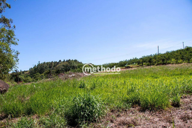 Imagem Imóvel à Venda, 56.785 m² em Feital - Morungaba Imagem Imóvel à Venda, 56.785 m² em Feital - Morungaba