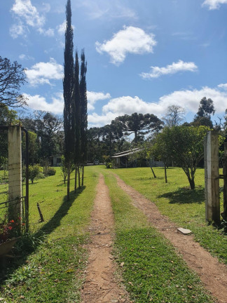 Imagem Imóvel com 4 Quartos à Venda, 38.704 m² em Chimboveiro - Mandirituba Imagem Imóvel com 4 Quartos à Venda, 38.704 m² em Chimboveiro - Mandirituba