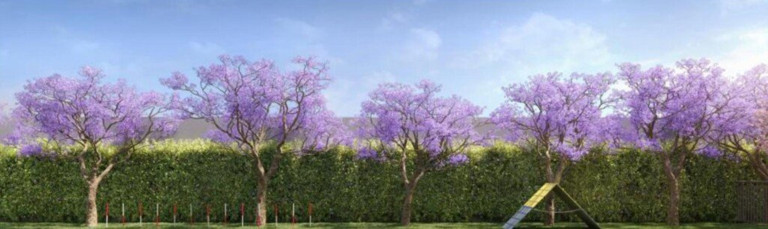 Imagem Apartamento com 3 Quartos à Venda, 76 m² em Planalto - São Bernardo Do Campo Imagem Apartamento com 3 Quartos à Venda, 76 m² em Planalto - São Bernardo Do Campo