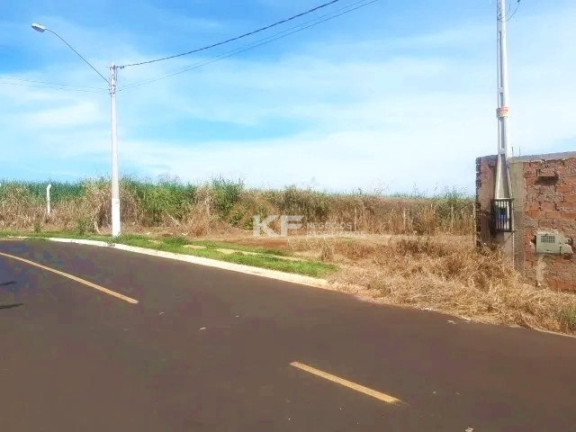 Imagem Imóvel à Venda, 312 m² em Jardim Cristo Redentor - Ribeirão Preto Imagem Imóvel à Venda, 312 m² em Jardim Cristo Redentor - Ribeirão Preto