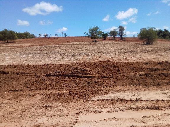 Imagem Fazenda à Venda, 32 m² em Rural - Bauru Imagem Fazenda à Venda, 32 m² em Rural - Bauru