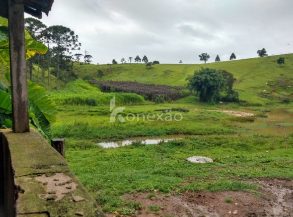 Imagem Fazenda à Venda, 100 m² em Cachoeira Grande - Lagoinha Imagem Fazenda à Venda, 100 m² em Cachoeira Grande - Lagoinha