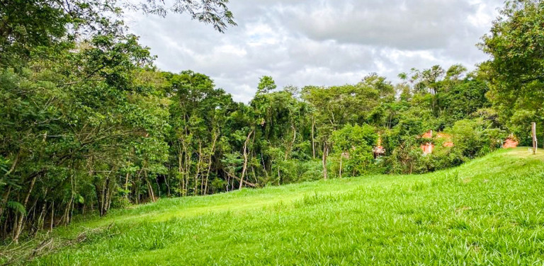 Imagem Terreno à Venda, 3.000 m² em Fazenda Vila Real De Itu - Itu Imagem Terreno à Venda, 3.000 m² em Fazenda Vila Real De Itu - Itu