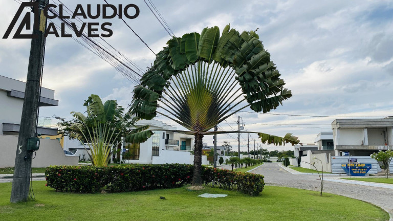 Imagem Terreno à Venda, 449 m² em Papagaio - Feira De Santana Imagem Terreno à Venda, 449 m² em Papagaio - Feira De Santana