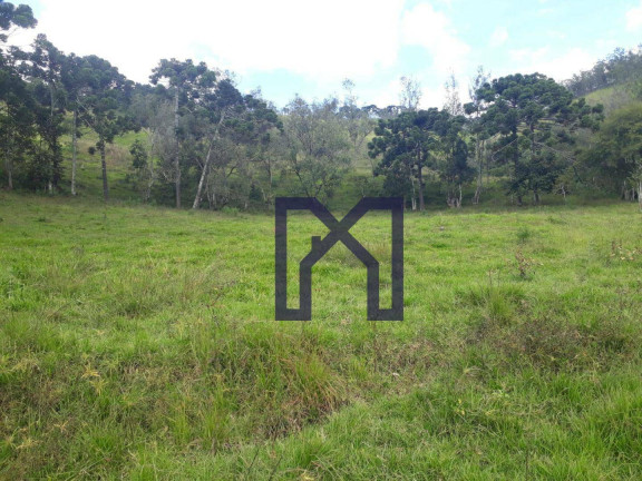 Imagem Fazenda à Venda, 360.000 m² em Cubatão - Marmelópolis Imagem Fazenda à Venda, 360.000 m² em Cubatão - Marmelópolis