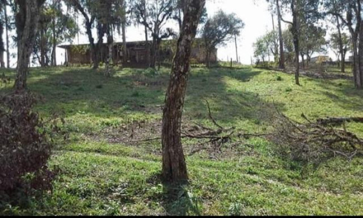 Imagem Chácara à Venda, 8.291 m² em Rio Da Várzea - Quitandinha Imagem Chácara à Venda, 8.291 m² em Rio Da Várzea - Quitandinha