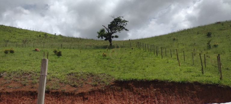 Imagem Chácara com 3 Quartos à Venda, 120 m² em Centro - Guaratinguetá
