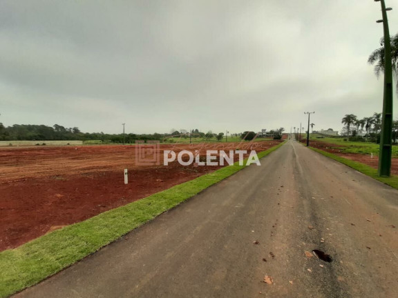Terreno à Venda, 560 m² em Primeira Linha - Criciúma