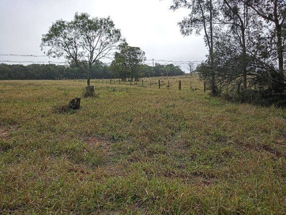 Imagem Terreno à Venda, 713 m² em águas Claras - Viamão