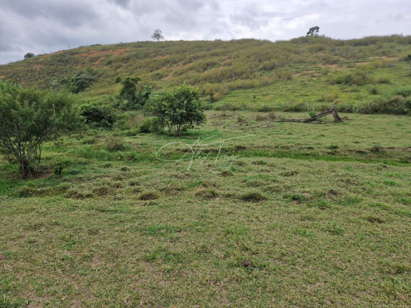 Imagem Terreno à Venda ou Locação, 5.000 m² em Santo Antônio - Serra