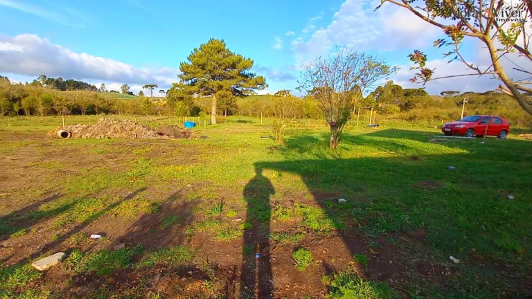 Imagem Imóvel à Venda, 32.800 m² em Ambrósio - Tijucas Do Sul Imagem Imóvel à Venda, 32.800 m² em Ambrósio - Tijucas Do Sul