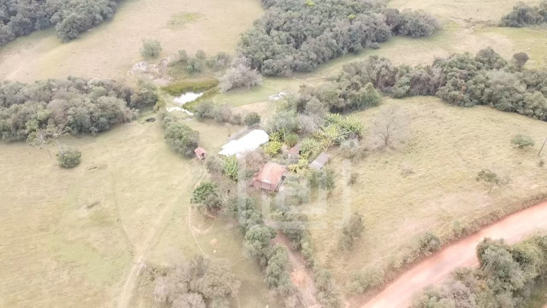 Imagem Imóvel com 2 Quartos à Venda, 29 m² em Pessegueiros - Campestre Imagem Imóvel com 2 Quartos à Venda, 29 m² em Pessegueiros - Campestre