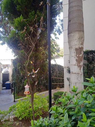 Imagem Apartamento com 3 Quartos à Venda, 67 m² em Jardim Clímax - São Paulo Imagem Apartamento com 3 Quartos à Venda, 67 m² em Jardim Clímax - São Paulo