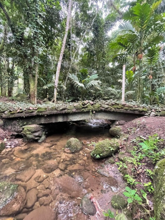 Imagem Imóvel com 5 Quartos à Venda, 20.000 m² em Maresias - São Sebastião Imagem Imóvel com 5 Quartos à Venda, 20.000 m² em Maresias - São Sebastião