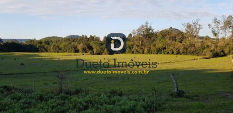 Imagem Terreno à Venda, 140.000 m² em Santa Rosa - Jaguari