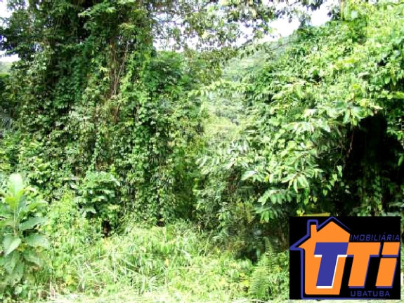 Imagem Terreno à Venda, 6.000 m² em Ubatumirim - Ubatuba Imagem Terreno à Venda, 6.000 m² em Ubatumirim - Ubatuba