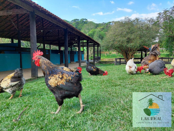 Imagem Chácara à Venda, 34 m² em Maraporã - Cachoeiras De Macacu Imagem Chácara à Venda, 34 m² em Maraporã - Cachoeiras De Macacu