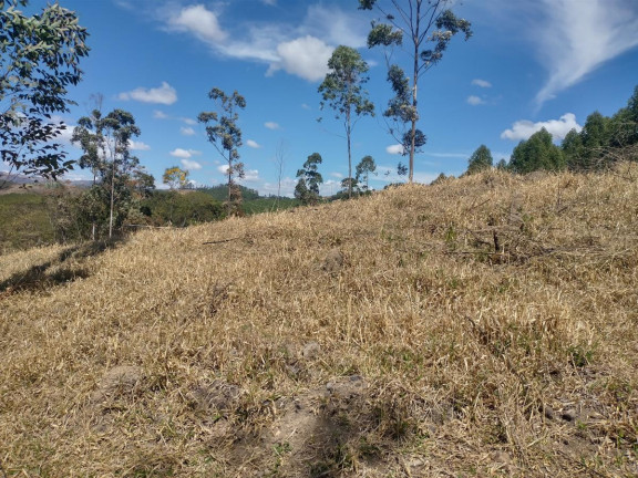 Imagem Chácara à Venda, 1.000 m² em Pocinhos Do Rio Verde - Caldas Imagem Chácara à Venda, 1.000 m² em Pocinhos Do Rio Verde - Caldas
