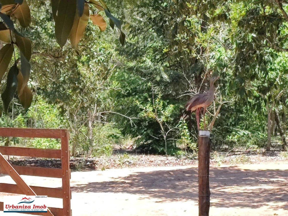 Imagem Chácara com 2 Quartos à Venda, 160 m² em Sitio Santa Maria - Campo Grande Imagem Chácara com 2 Quartos à Venda, 160 m² em Sitio Santa Maria - Campo Grande