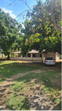 Imagem Fazenda à Venda, 1 m² em Girassol - Cocalzinho De Goiás Imagem Fazenda à Venda, 1 m² em Girassol - Cocalzinho De Goiás