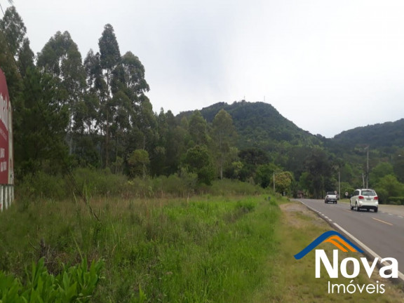 Imagem Imóvel à Venda, 10.211 m² em Linha Araripe - Nova Petrópolis Imagem Imóvel à Venda, 10.211 m² em Linha Araripe - Nova Petrópolis