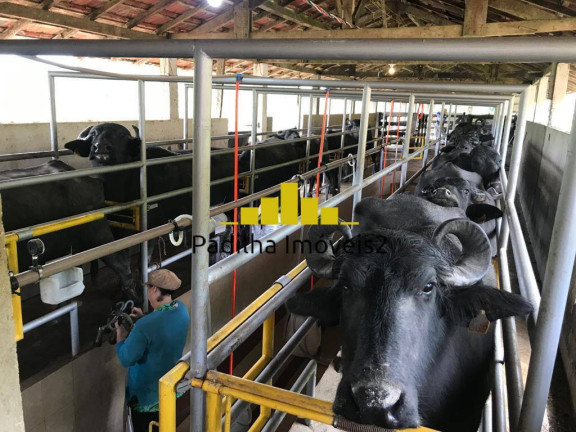Imagem Chácara à Venda, em Registro Imagem Chácara à Venda, em Registro