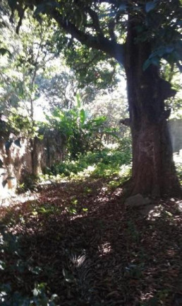 Imagem Casa com 3 Quartos à Venda, 185 m² em Centro - Taubaté Imagem Casa com 3 Quartos à Venda, 185 m² em Centro - Taubaté