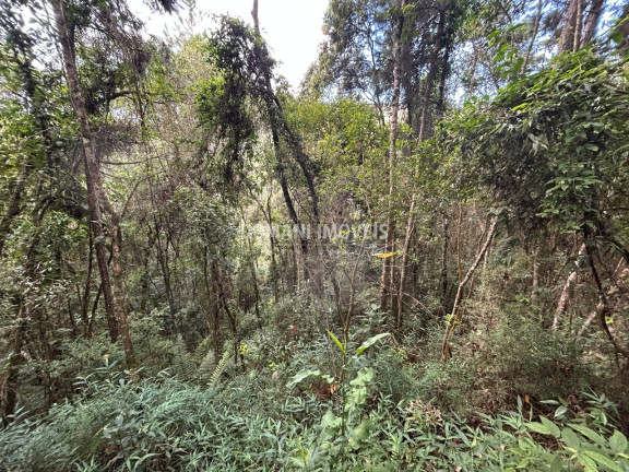 Imagem Terreno à Venda, 5.820 m² em Região Do Parque Da água Santa - Campos Do Jordão Imagem Terreno à Venda, 5.820 m² em Região Do Parque Da água Santa - Campos Do Jordão
