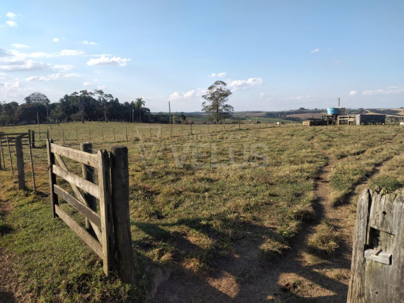 Imagem Imóvel à Venda, 242.000 m² em Santa Cruz Dos Matos - Itapetininga Imagem Imóvel à Venda, 242.000 m² em Santa Cruz Dos Matos - Itapetininga