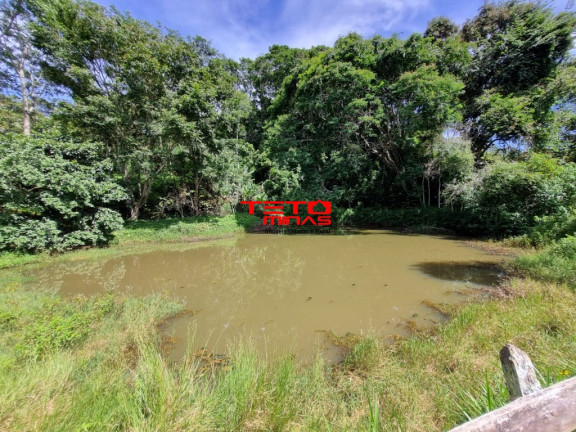 Imagem Imóvel com 3 Quartos à Venda,  em Zona Rural - Pouso Alto