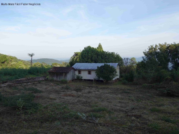 Imagem Imóvel com 2 Quartos à Venda, 100 m² em Linha Olinda - Nova Petrópolis Imagem Imóvel com 2 Quartos à Venda, 100 m² em Linha Olinda - Nova Petrópolis