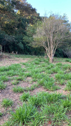 Imagem Chácara à Venda, 3 m² em Portão - Atibaia Imagem Chácara à Venda, 3 m² em Portão - Atibaia