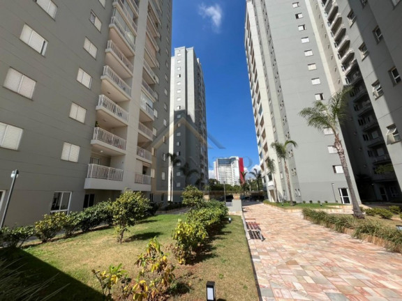 Imagem Apartamento com 3 Quartos para Alugar, 78 m² em Jardim Nova Aliança - Ribeirão Preto Imagem Apartamento com 3 Quartos para Alugar, 78 m² em Jardim Nova Aliança - Ribeirão Preto