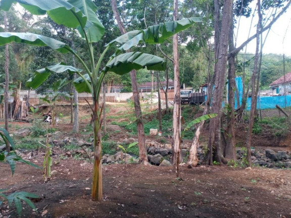 Imagem Imóvel à Venda, 3.000 m² em Campo Grande - Rio De Janeiro Imagem Imóvel à Venda, 3.000 m² em Campo Grande - Rio De Janeiro