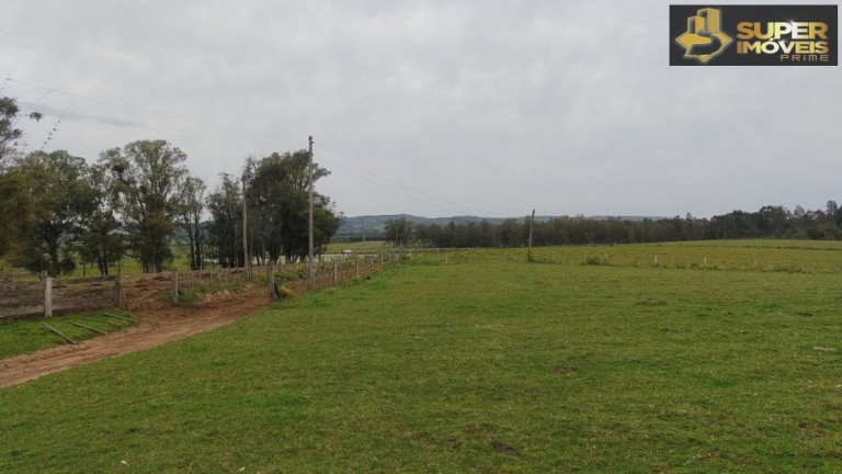 Imagem Imóvel com 3 Quartos à Venda, 660.000 m² em Zona Rural - Capão Do Leão