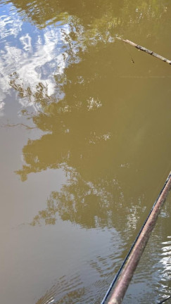 Imagem Fazenda à Venda, 4.300.000 m² em Zona Rural - Poços De Caldas Imagem Fazenda à Venda, 4.300.000 m² em Zona Rural - Poços De Caldas