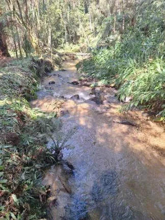 Imagem Imóvel à Venda, 20.000 m² em Santana - Bocaiuva Do Sul Imagem Imóvel à Venda, 20.000 m² em Santana - Bocaiuva Do Sul