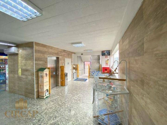 Imagem Loja para Alugar, 1.543 m² em Tatuapé - São Paulo Imagem Loja para Alugar, 1.543 m² em Tatuapé - São Paulo